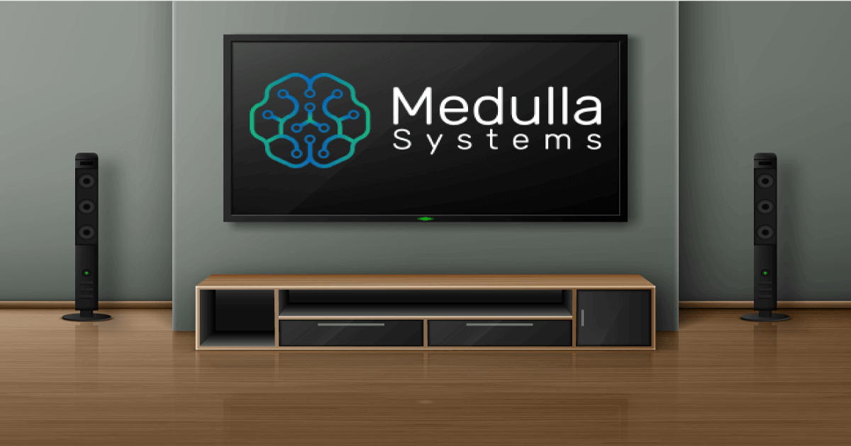 About Medulla Systems, San Juan, Puerto Rico